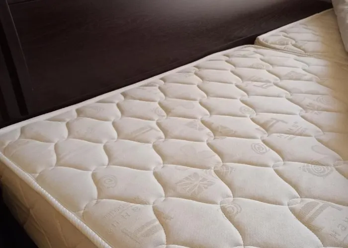 300m From Private Romana Royal Castle Holiday home